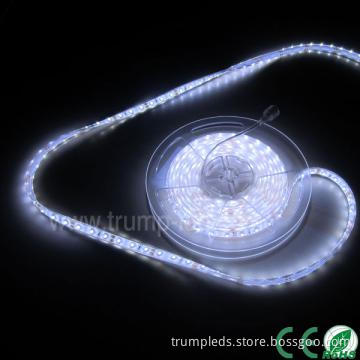 HOT !!!New style , high lumens 3528 led strip curtain